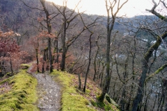 Hersftwandeling naar Hohenzollernturm