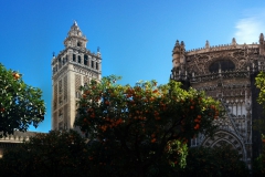 Patio de los naranjos, kathedraal en Giralda