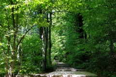 Plitvice meren